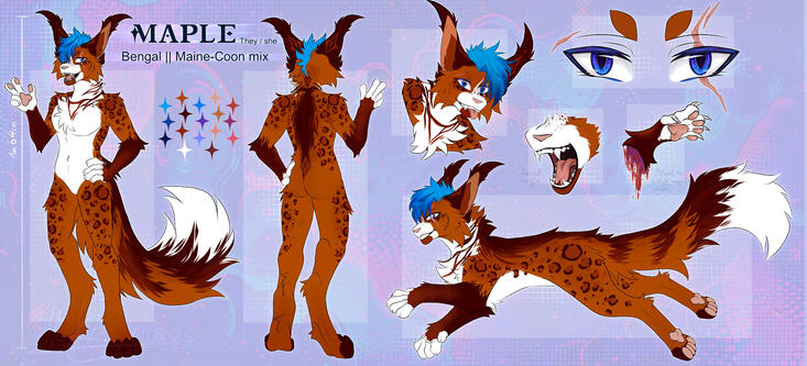 Ref. Sheet (big)